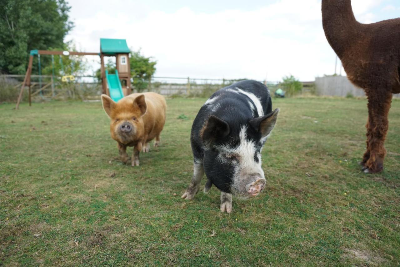 The Piggery Pod Hotel Sittingbourne Ngoại thất bức ảnh